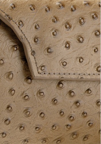 Liya Ostrich Leather Long Wallet Beige