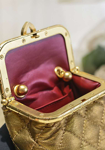 Claire Leather Shoulder Mini Bag Gold