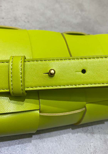 Mia Mini Leather Belt Shoulder Bag Kiwis