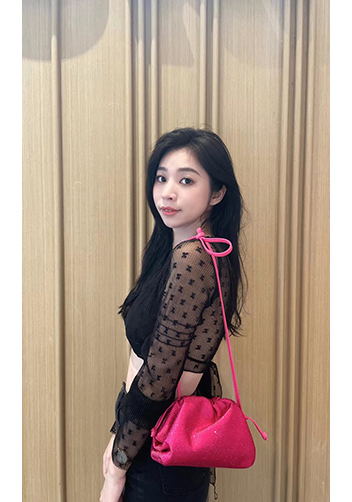 Dina Clutch Shoulder Small Bag Rhinestone Designs Barbie